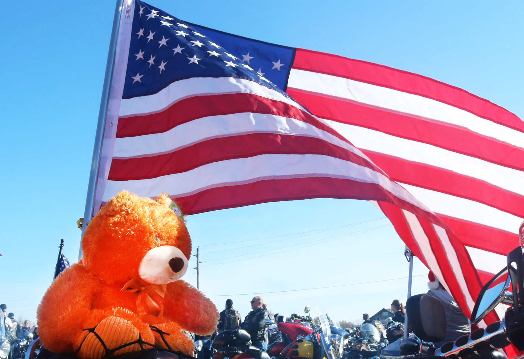 Toys and vets